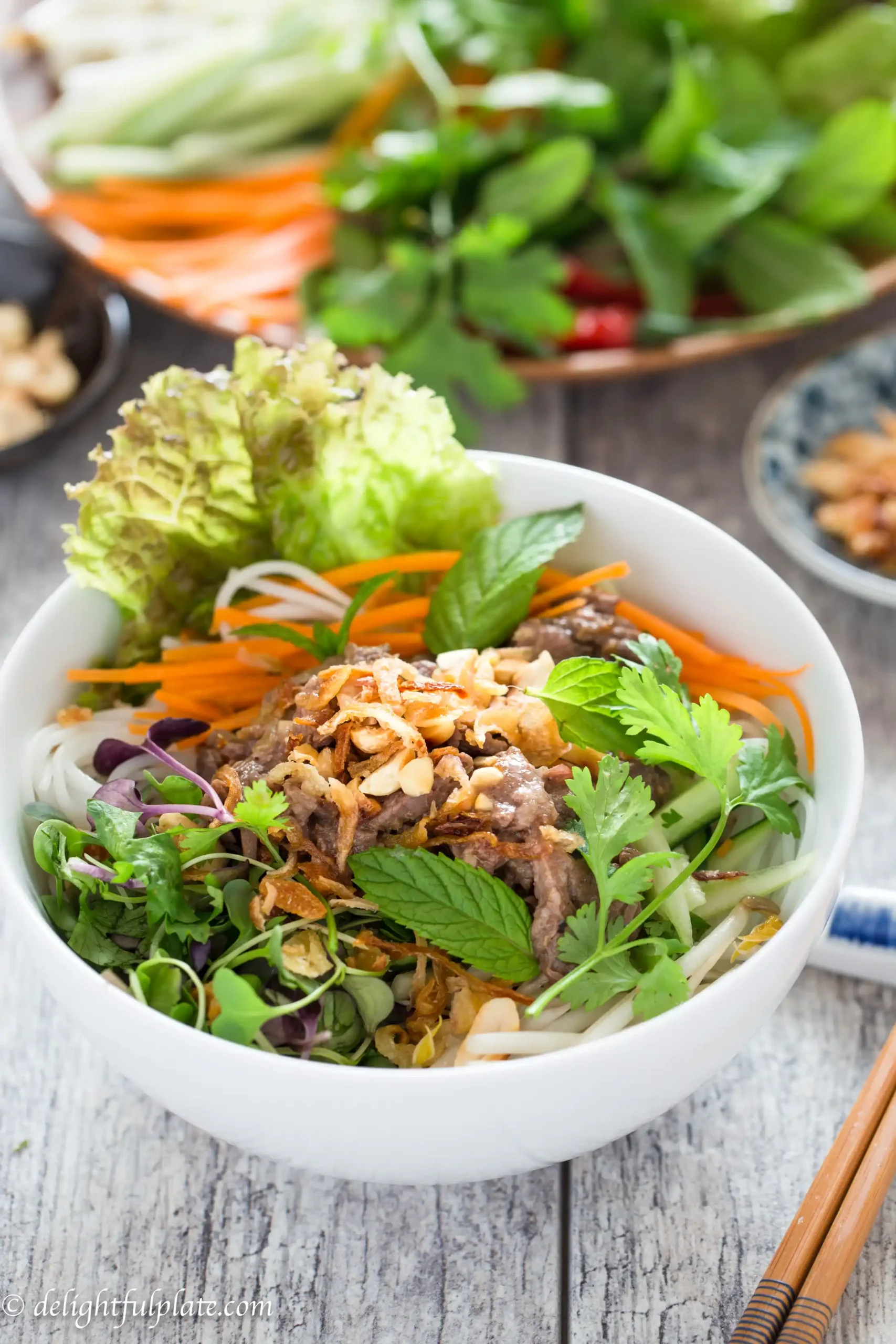 Beef Salad Vietnamese Bun Bo Nam Bo